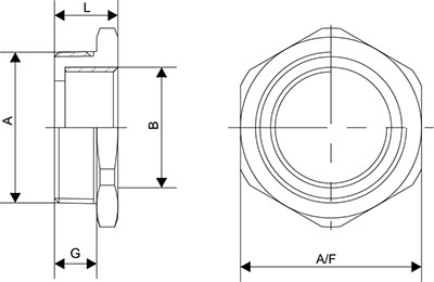 Reducer NPT Diagram 1 Reducer NPT Diagram